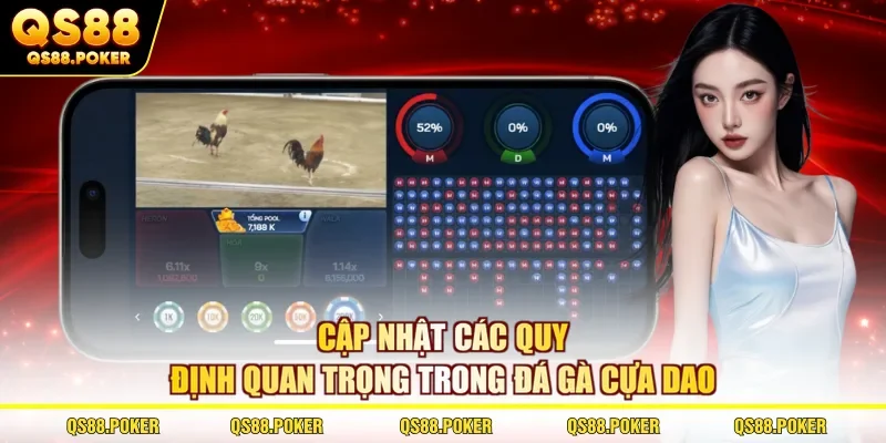 Cập nhật các quy định quan trọng trong đá gà cựa dao