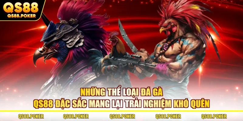Những thể loại đá gà QS88 đặc sắc mang lại trải nghiệm khó quên
