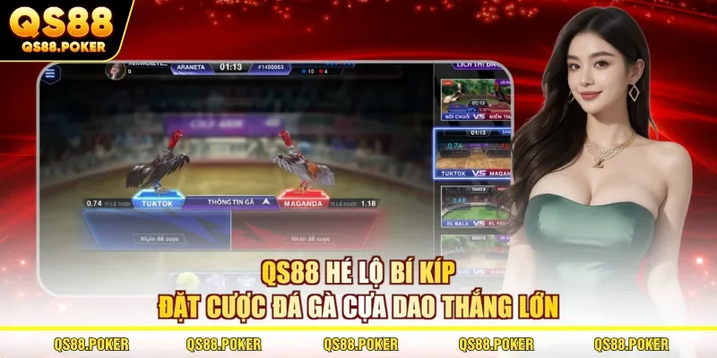 QS88 hé lộ bí kíp đặt cược đá gà cựa dao thắng lớn