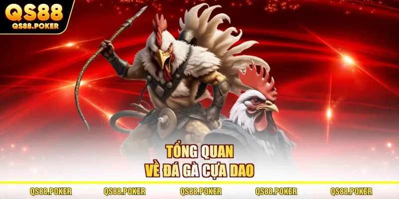 Tổng quan về đá gà cựa dao
