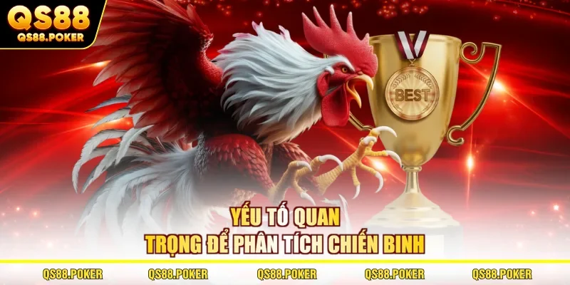 Yếu tố quan trọng để phân tích chiến binh